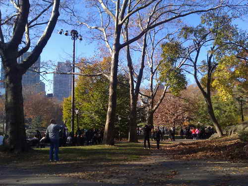 NYC_2012-11-22 13-33-37_CELL_IMAG0920